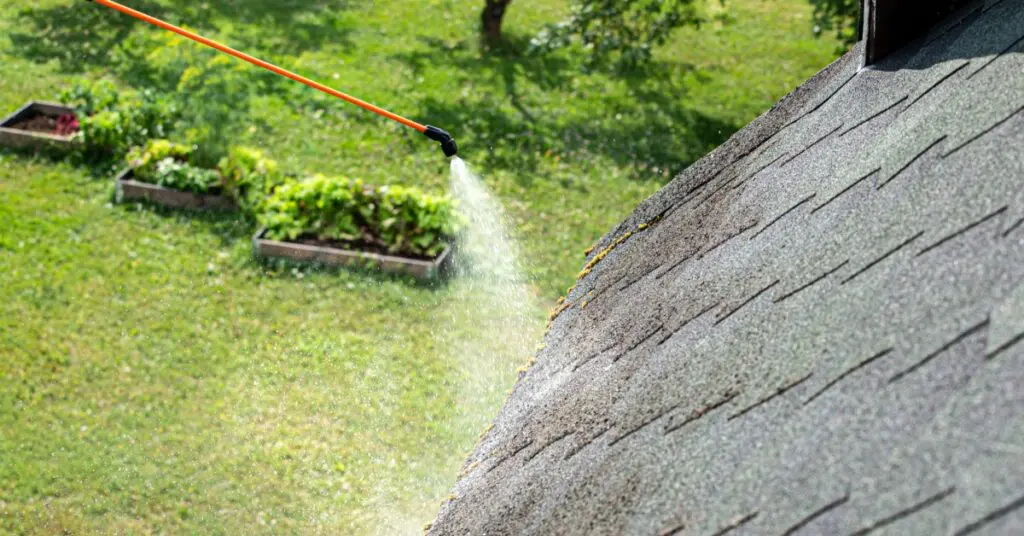 power washing black algae on roof, Gloeocapsa Magma