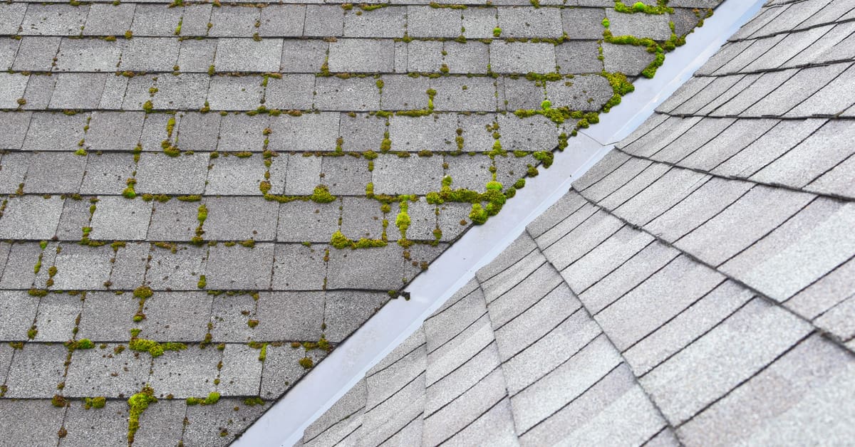 5 Tell-Tale Signs Your Roof Needs Cleaning